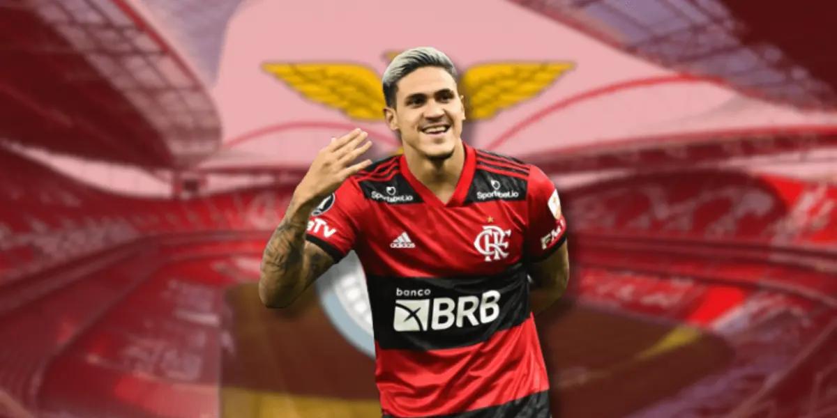 O jogador é o nome da vez da diretoria benfiquista