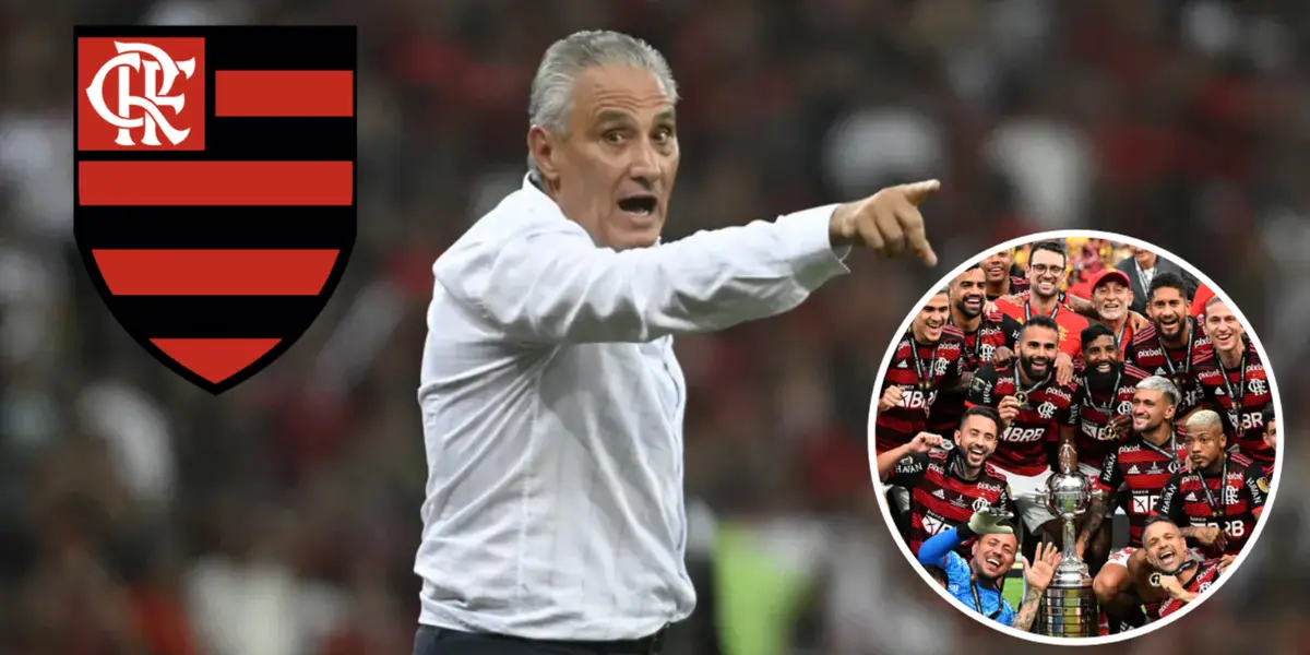 Tite no comando técnico do Flamengo